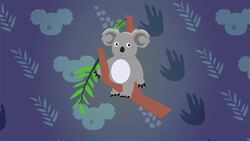 How Do Koalas Stay In Trees For Such A Long Time? Instructional Video