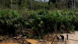 Peru’s military tries to curb illegal gold mining in Amazon - aerial footage Instructional Video