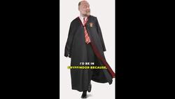 Which Harry Potter House Would Professor Wolters Be In? Instructional Video