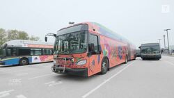 B.C. artist creates colourful bus art for Vaisakhi News Clip