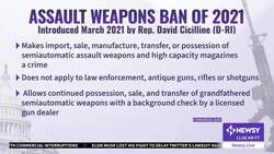 Democrats Push For 1st Semi-Automatic Gun Ban In 20 Years News Clip