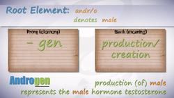 HST-MT-Medical Terminology of the Male Reproductive System Instructional Video