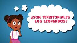 I WONDER - Are Leopards Territorial? Me Pregunto - Son Territoriales Los Leopardos? Instructional Video