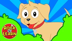 Where Has My Little Dog Gone Instructional Video