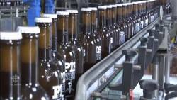 Danish brewery uses human urine to fertilize barley crops News Clip