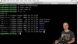 The Complete Practical Docker Guide - SOLUTION - Script with Environment Variables Access Instructional Video