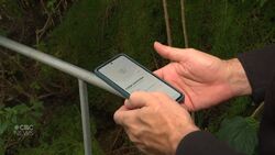 How Montreal’s Insectarium is using AI for research – and to make visits more interactive News Clip