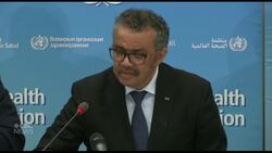 WHO says coronavirus not a pandemic right now but could become one News Clip