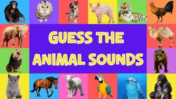 Guess That Animal Sound For Kids | 4K Instructional Video