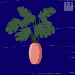 Millennials and money: how they really spend it Instructional Video