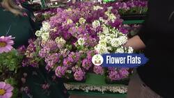 The Cost Of: Gardening News Clip