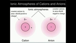 Theory of Thermodynamic Activity and Ionic Strength Instructional Video