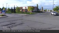 Police officer, auto body shop owner killed in Toronto-area shootings News Clip