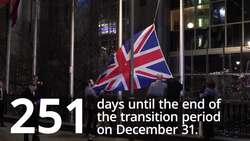 Brexit briefing: 251 days until the end of the transition period News Clip