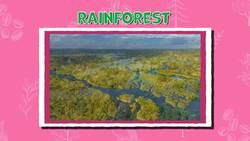 I WONDER - How Many Animal Species Live In Brazil? Instructional Video