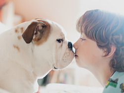 The Power of Kindness: A Heartwarming Story with Ella the Elephant Instructional Video