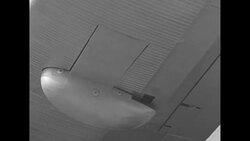 Douglas seaplane takes flight in Santa Monica, CA News Clip