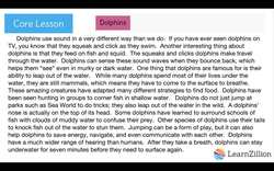 Organizing Ideas into Paragraphs for Clear Writing Instructional Video