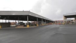 CLEAN : Texans weigh-in on top issue of migration ahead of US midterm vote News Clip