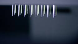 Should gene-editing be embraced? Instructional Video