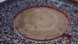 CLEAN : Peru's main bullfight fair resumes after pandemic as activists protest News Clip