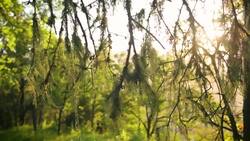 Weekenders - Springtime Spectacular on the Central Coast Instructional Video