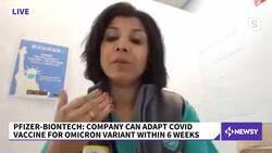 What Do We Know About The Omicron Variant So Far? News Clip