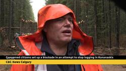 Concerned citizens set up a blockade in an attempt to stop logging in Kananaskis News Clip