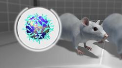 New studies link cell phone radiation with cancers Instructional Video