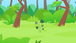 I WONDER - Can Plants Be Shy? Instructional Video