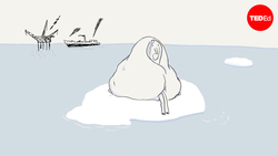 Why you feel stuck — and how to get motivated | Shannon Odell Instructional Video