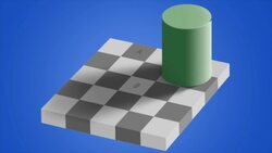 Exploring Optical Illusions: Tricks of Perception and Perspective Instructional Video