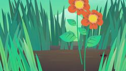 Vegetation Transformation Instructional Video