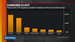 Why Riposte Capital Wants Hexo to Consider a Sale News Clip