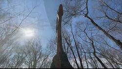 Explore nature with 100 life-sized prehistoric creatures at Nature's Art Village & the Dinosaur Place News Clip