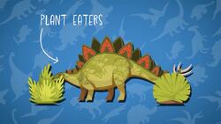 I WONDER - Was The Stegosaurus A Herbivore? Instructional Video