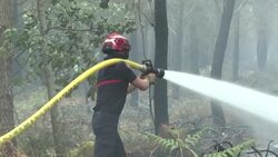 CLEAN : Firefighters from Paris tackle blaze in southwest France News Clip