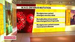 CDC Says New Covid Strain Could Be Present in U.S. News Clip