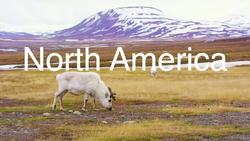 The Continents Instructional Video