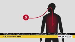Wildfire smoke may become more dangerous the longer it lingers in the atmosphere News Clip
