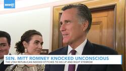 Sen. Mitt Romney Knocked Unconscious News Clip