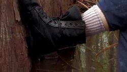 Everglades National Park - Cypress Cathedral Instructional Video