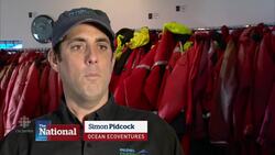 Oldest known killer whale missing News Clip