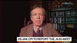 Reinhart Says CPI Is Just One Piece of Fed Puzzle News Clip