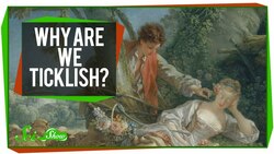 Why are we Ticklish? Instructional Video