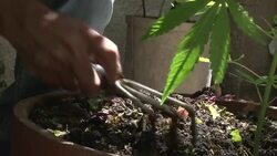 VOICED : Mas del 60% de los uruguayos contra News Clip