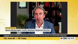 $1.2B lumber aid package won't be enough, says B.C. forestry union leader News Clip