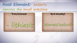 HST-MT - Medical Terminology of the Digestive System Instructional Video
