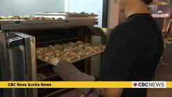 Halifax organization preparing thousands of meals for those in need News Clip