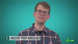 What We've Learned from Fossilized Farts Instructional Video